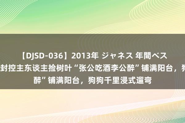 【DJSD-036】2013年 ジャネス 年間ベスト10 上海一小区封控主东谈主捡树叶“张公吃酒李公醉”铺满阳台，狗狗千里浸式遛弯