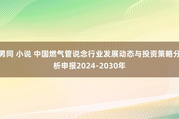 男同 小说 中国燃气管说念行业发展动态与投资策略分析申报2024-2030年