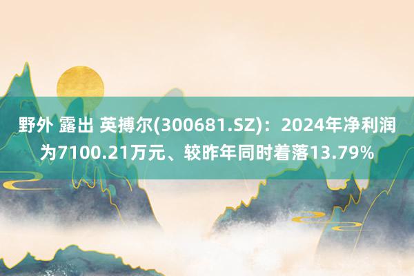 野外 露出 英搏尔(300681.SZ)：2024年净利润为7100.21万元、较昨年同时着落13.79%