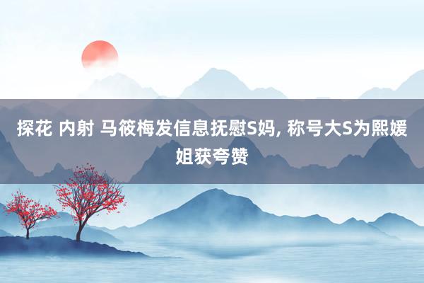 探花 内射 马筱梅发信息抚慰S妈， 称号大S为熙媛姐获夸赞