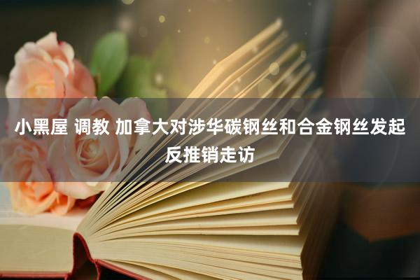 小黑屋 调教 加拿大对涉华碳钢丝和合金钢丝发起反推销走访