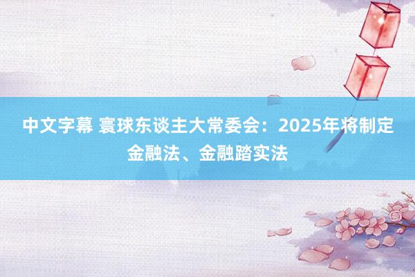 中文字幕 寰球东谈主大常委会：2025年将制定金融法、金融踏实法