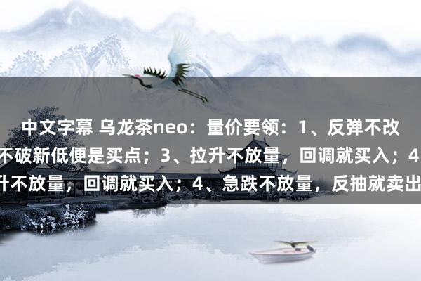 中文字幕 乌龙茶neo：量价要领：1、反弹不改进高便是卖点；2、回调不破新低便是买点；3、拉升不放量，回调就买入；4、急跌不放量，反抽就卖出。
