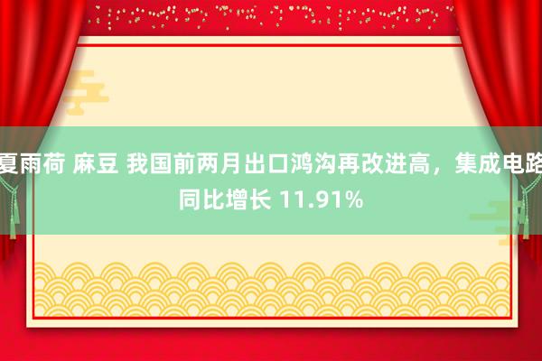 夏雨荷 麻豆 我国前两月出口鸿沟再改进高，集成电路同比增长 11.91%